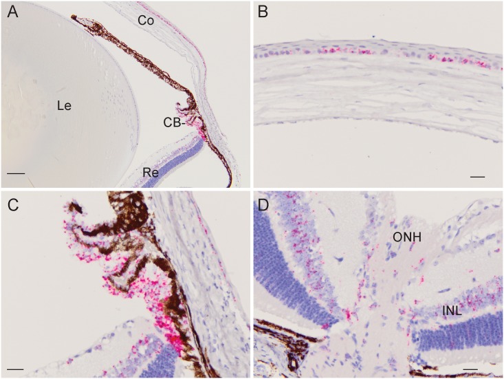 Fig 4