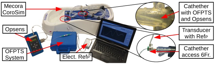 Figure 19