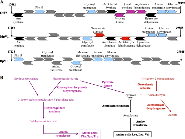 FIG. 4.