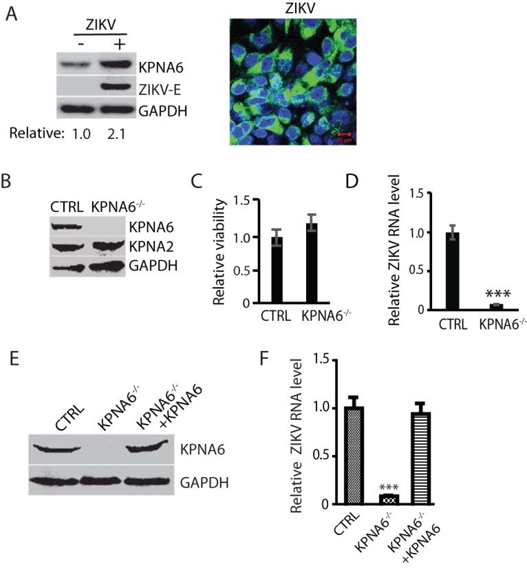 FIG 6