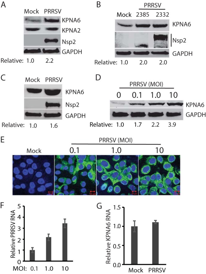 FIG 1