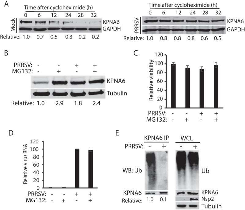 FIG 2