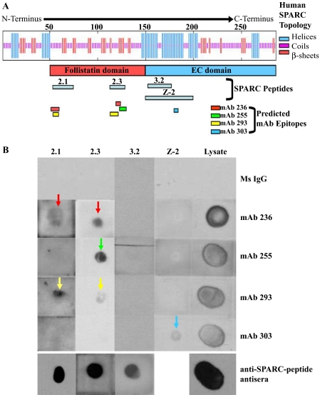 FIGURE 10.