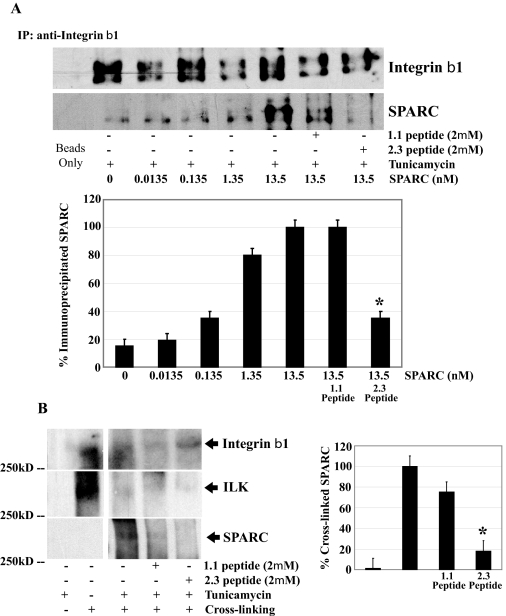 FIGURE 12.