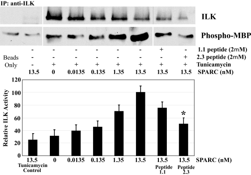 FIGURE 13.