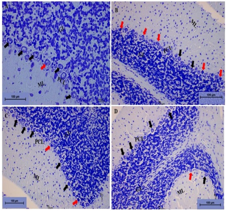 Figure 16