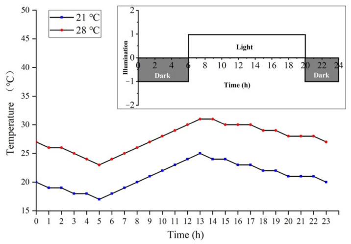 Figure 12