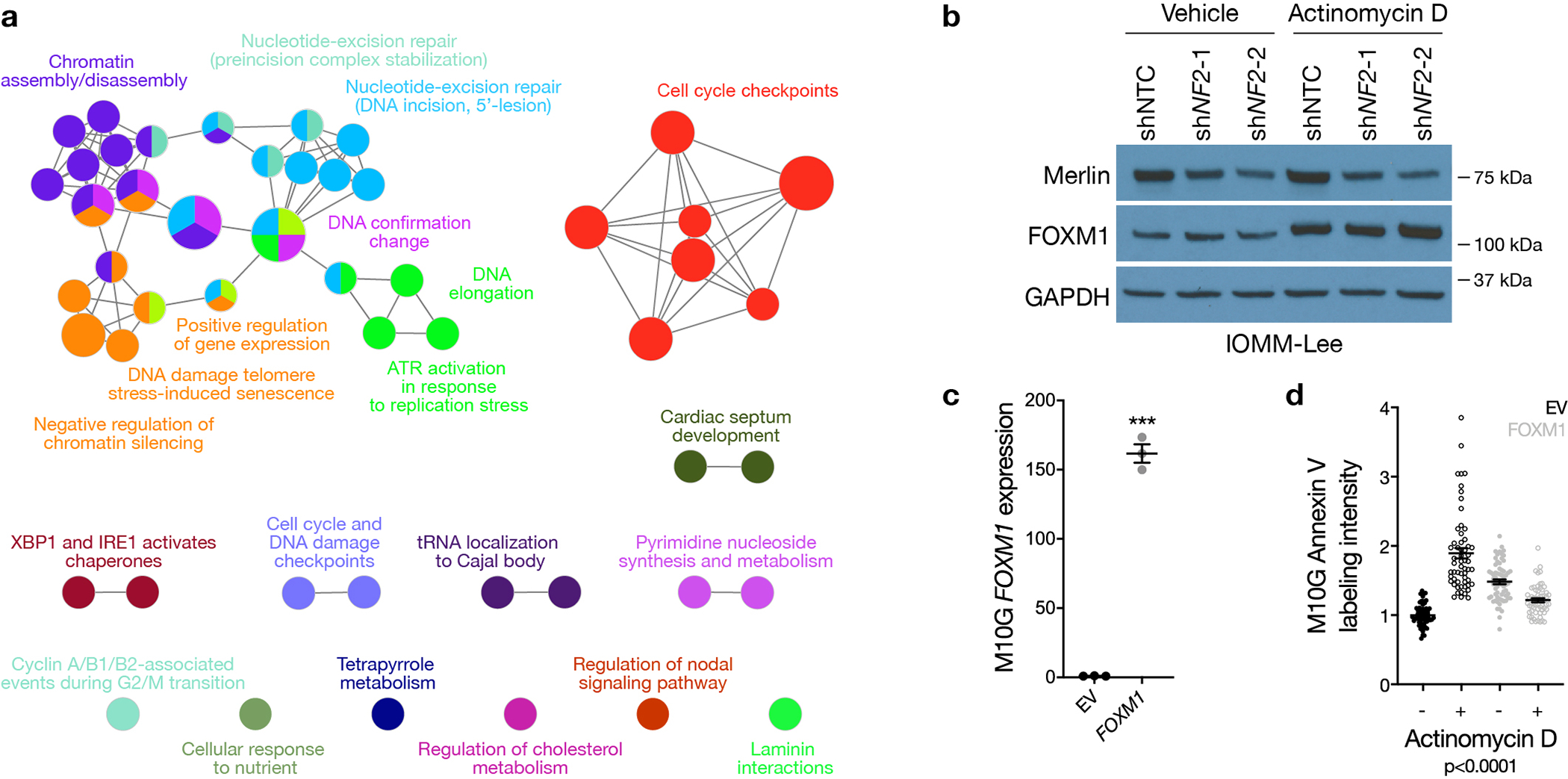 Extended Data Fig. 7