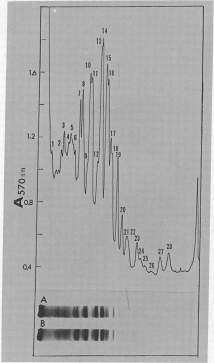 graphic file with name pnas00061-0071-a.jpg