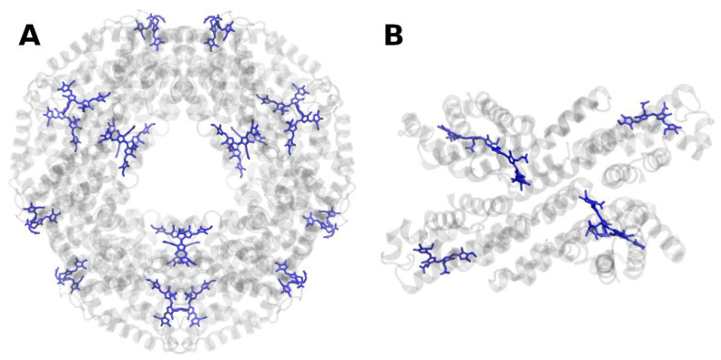 Figure 11