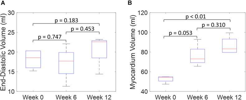 FIGURE 11