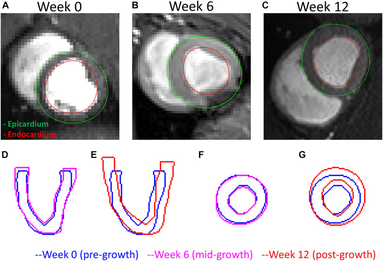 FIGURE 7