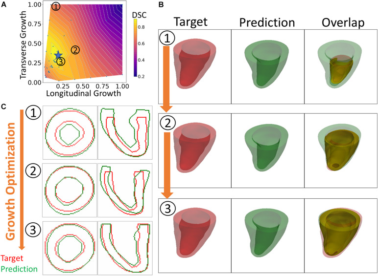 FIGURE 3