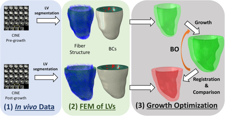 FIGURE 1