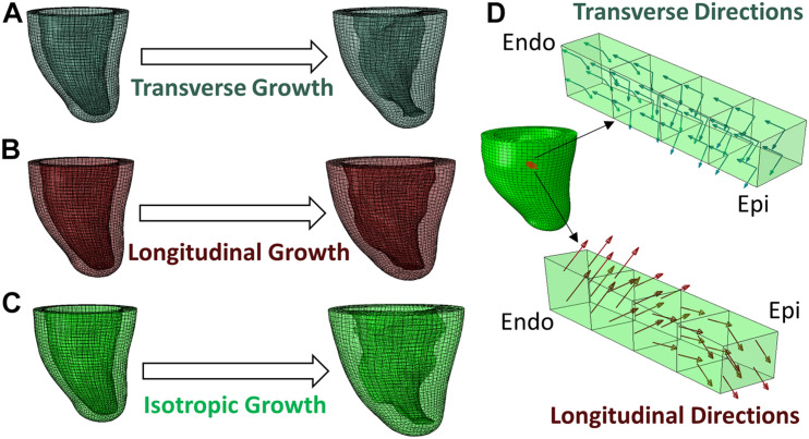 FIGURE 2