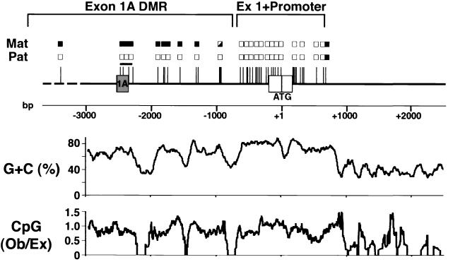 FIG. 5