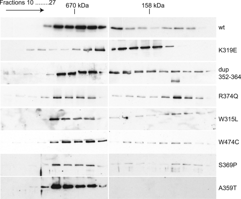 Figure 5.