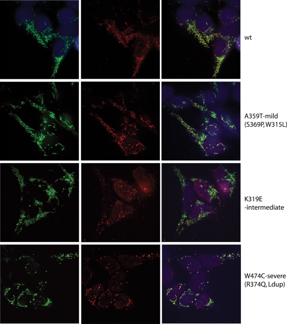 Figure 3.