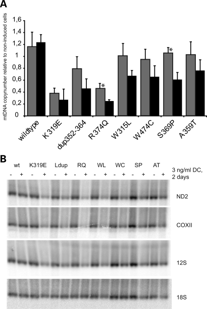 Figure 2.