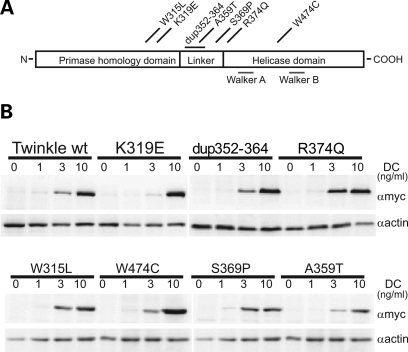 Figure 1.