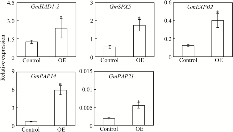 Fig. 9.