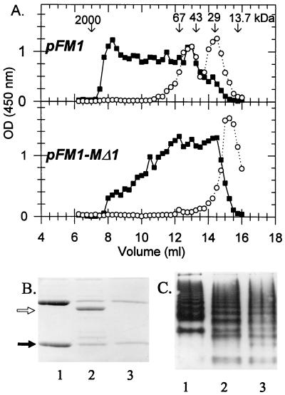 FIG. 6