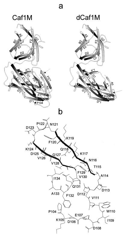 FIG. 7