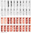 Extended Data Fig. 4