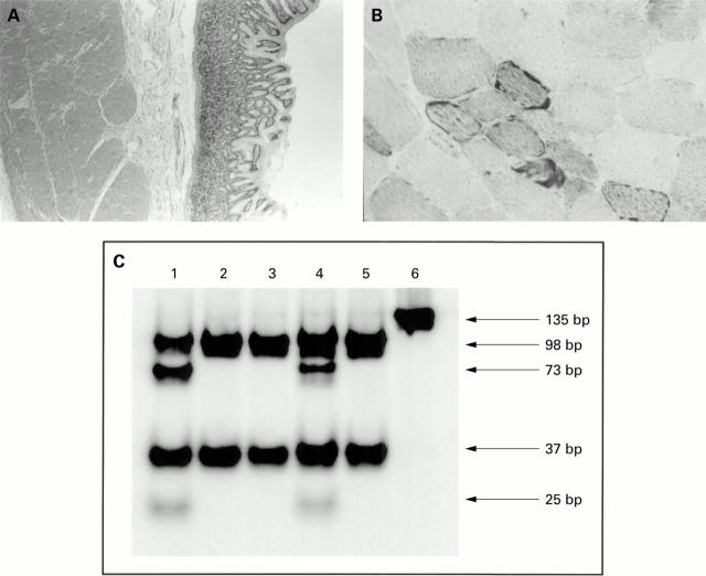 Figure 1  