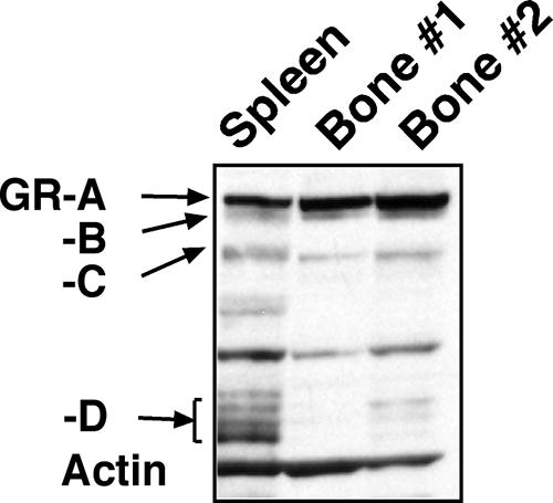 FIG. 8.