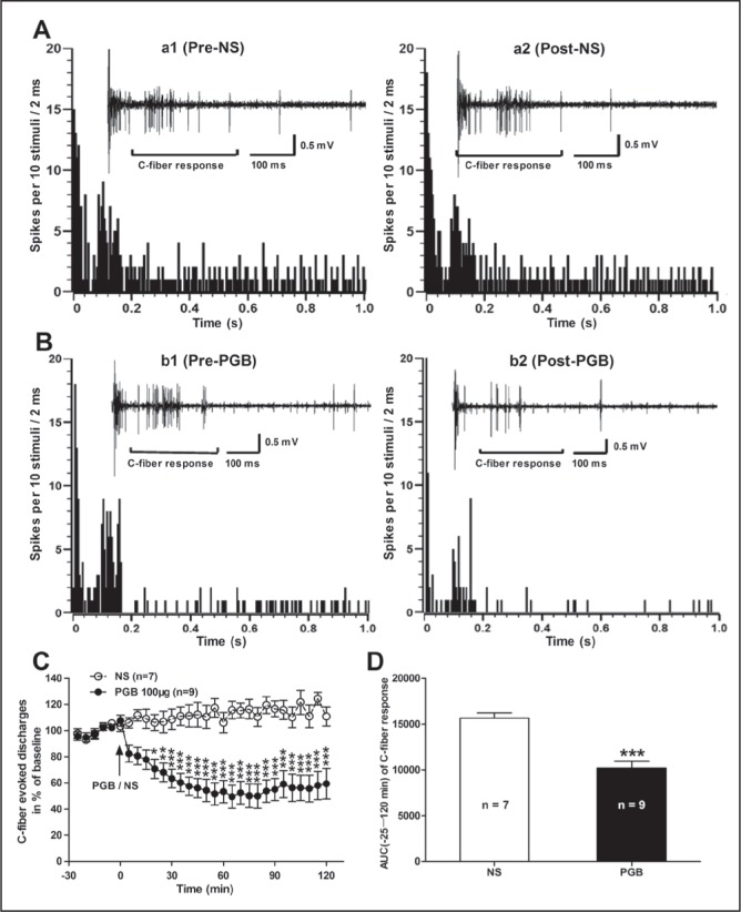 Figure 3)