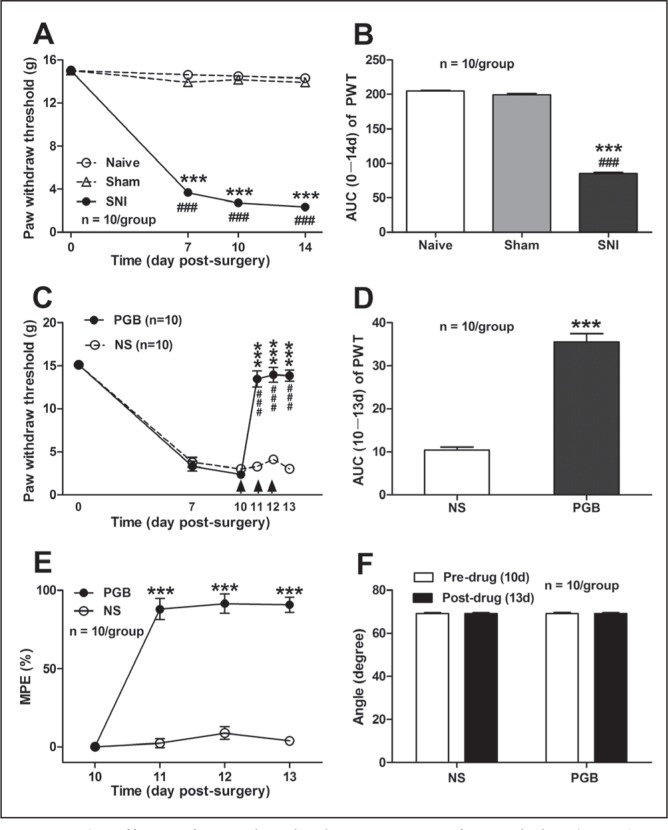 Figure 1)