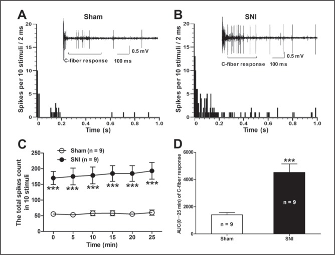 Figure 2)