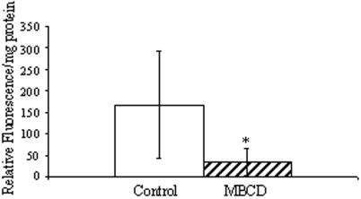 FIG.2.