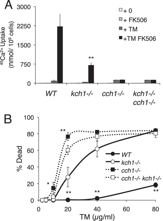 FIGURE 5.