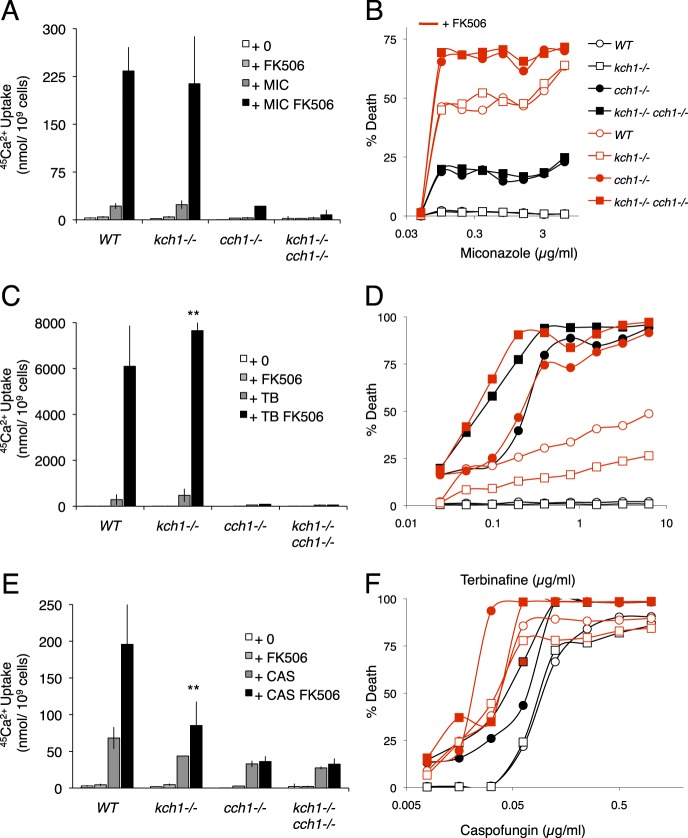 FIGURE 6.