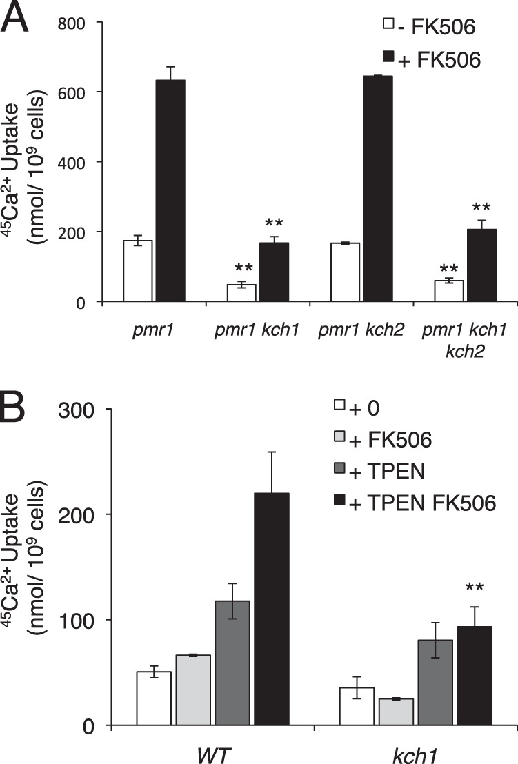 FIGURE 4.