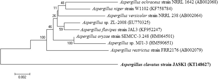 Fig. 1