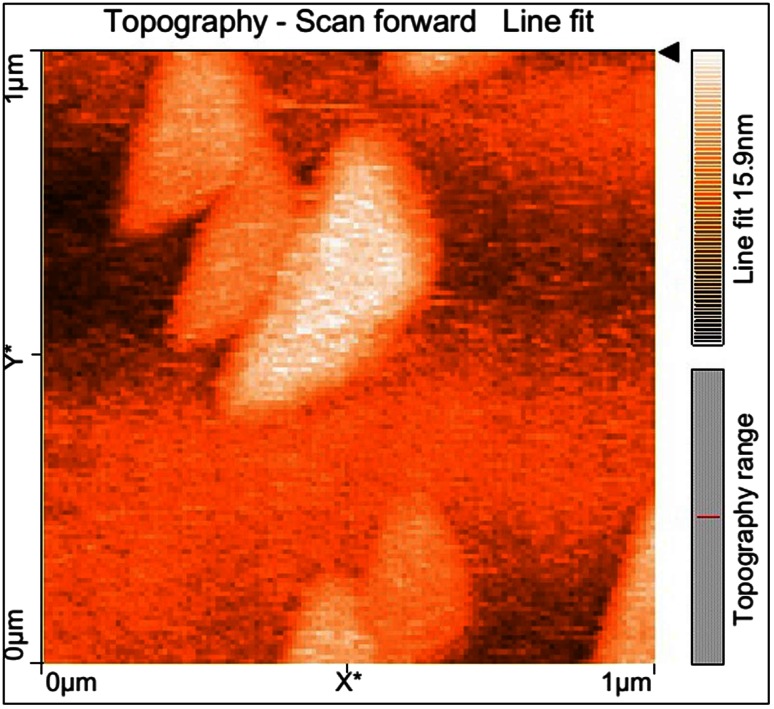 Fig. 4