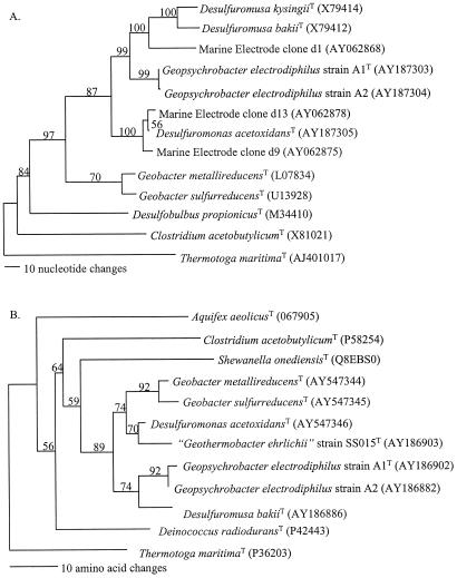 FIG. 5.