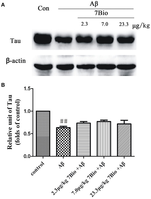 Figure 13