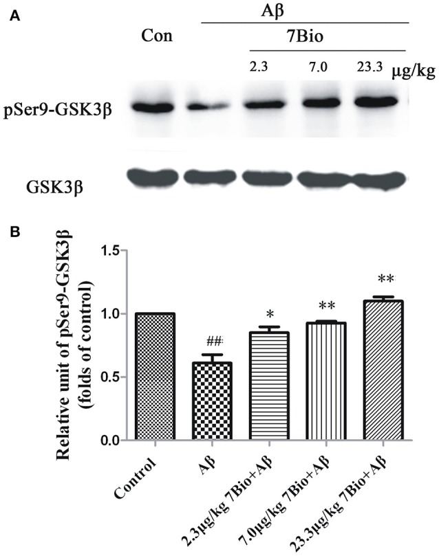 Figure 12