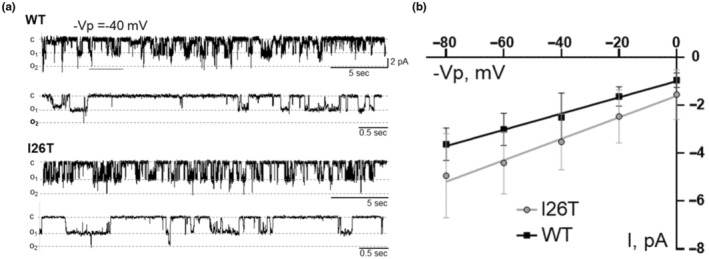 FIGURE 3