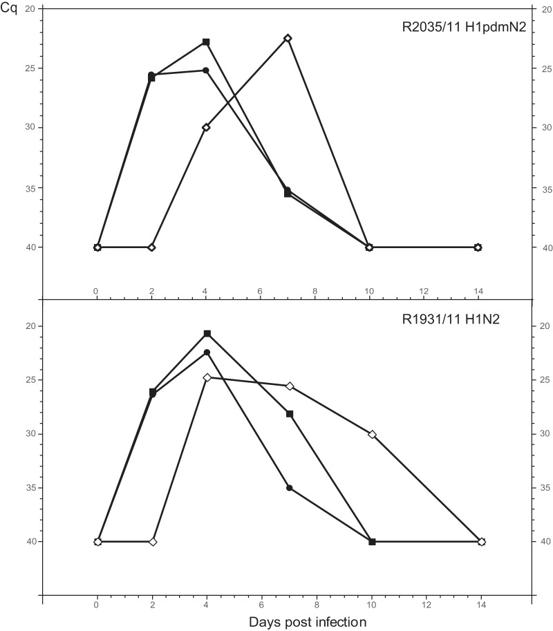 Fig 5