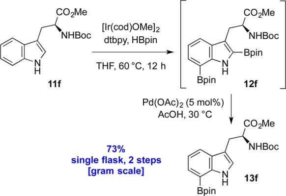 Scheme 4