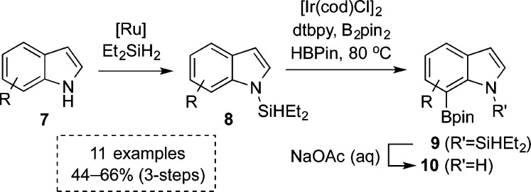 Scheme 1