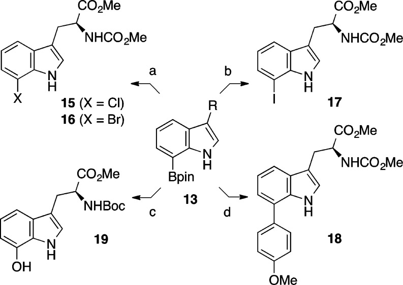 Scheme 5