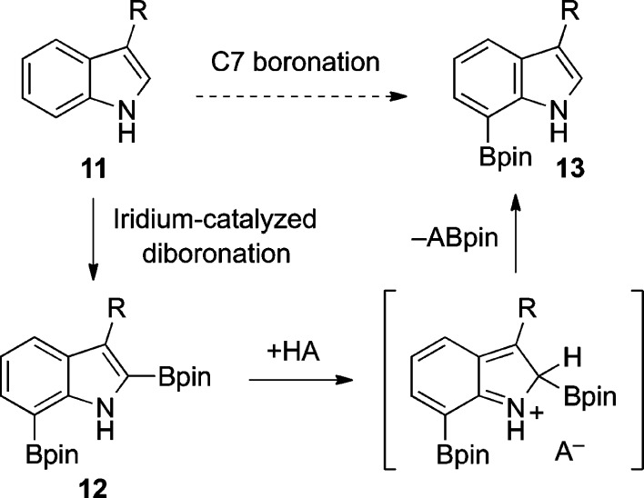 Scheme 2