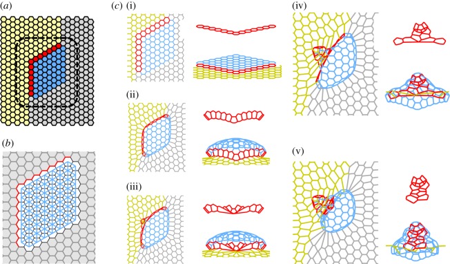 Figure 6.