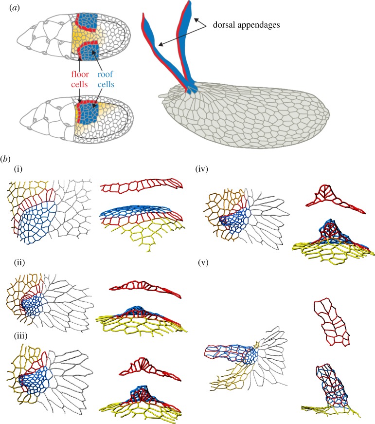 Figure 4.